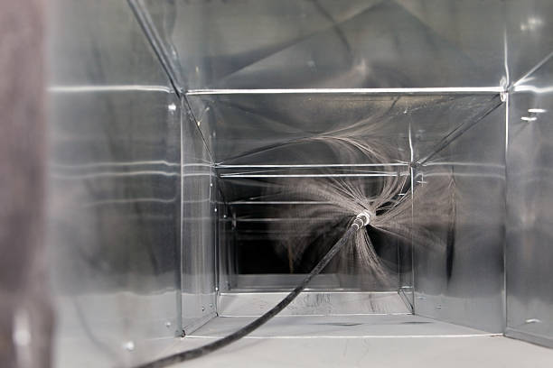 Best Professional Duct Cleaning Services  in Fellsmere, FL